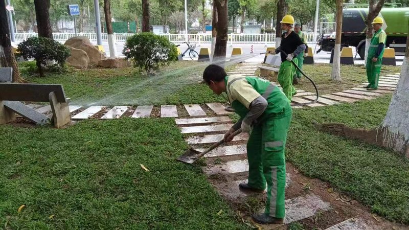 草坪铺设验收标准上海：关键要素与验收流程