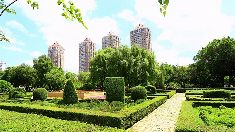 室内垂直绿化：提升空间绿意，打造城市新景观**