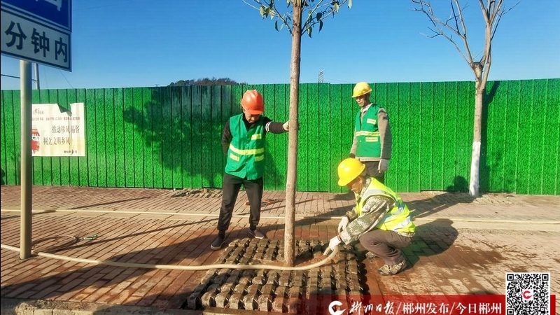 别墅草坪自动修剪机器人，如何选择更智能的伴侣？**