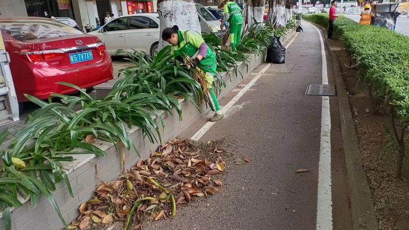 立体绿化植物墙：打造城市绿色新风景