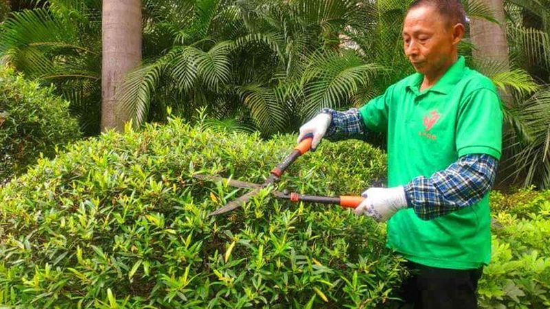 假山喷泉石材材质分类：揭秘不同石材的特性和应用**