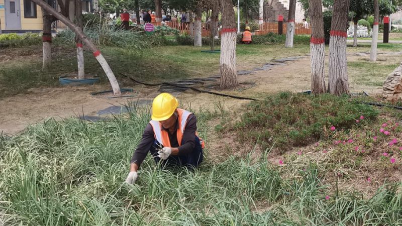 别墅花园设计材料选择：避免常见误区，打造理想花园