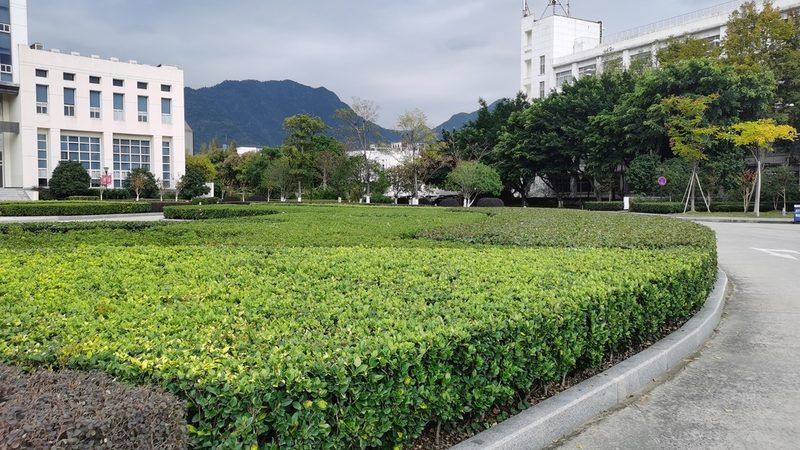 花卉租摆方案设计：材质选择的重要性**