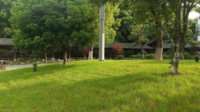 北京小区绿化率标准解读：如何满足规范与居民需求